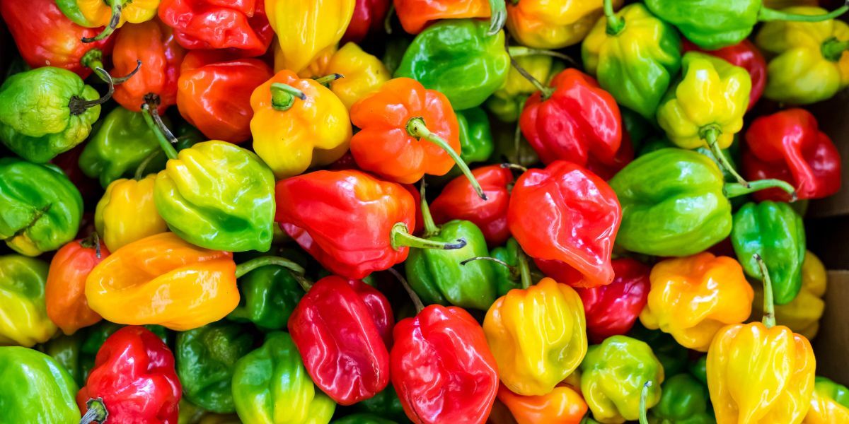 Piments